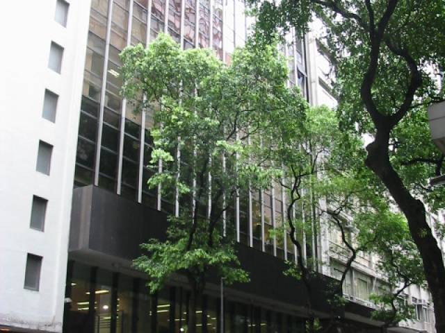 #MC02-501 - Sala para Locação em Rio de Janeiro - RJ - 2