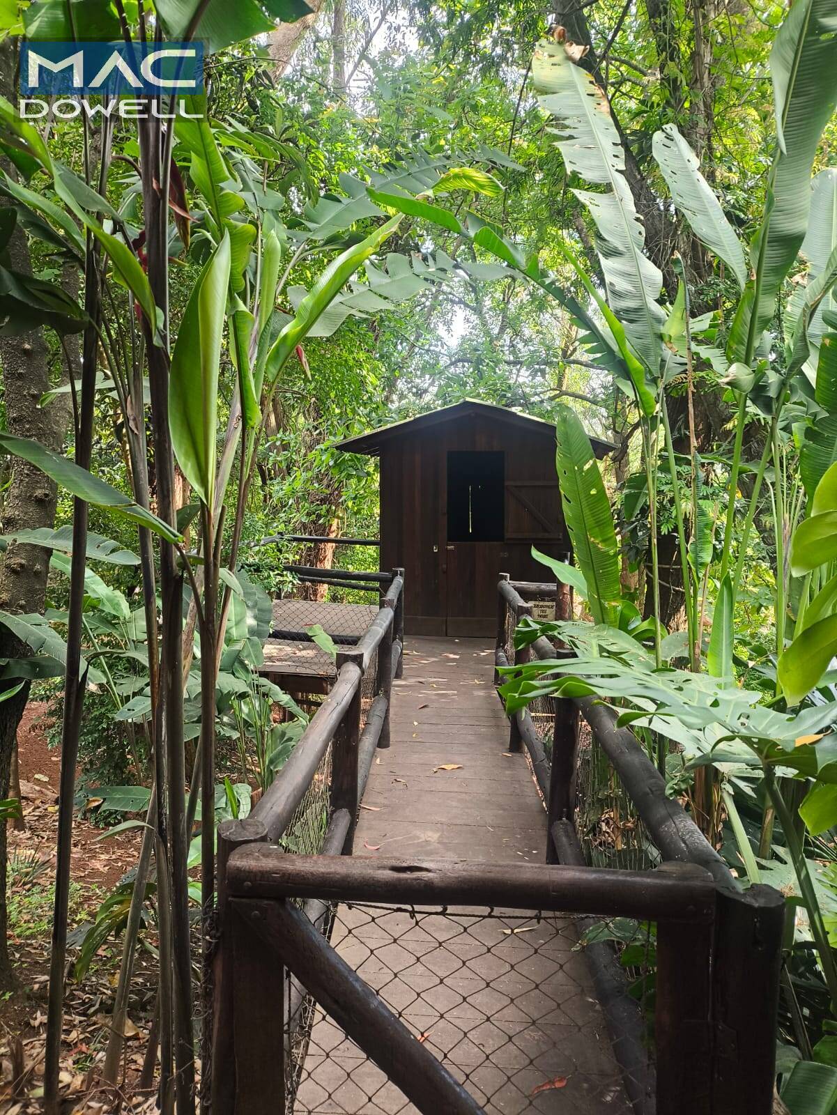 Casa, 6 quartos, 500 m² - Foto 20