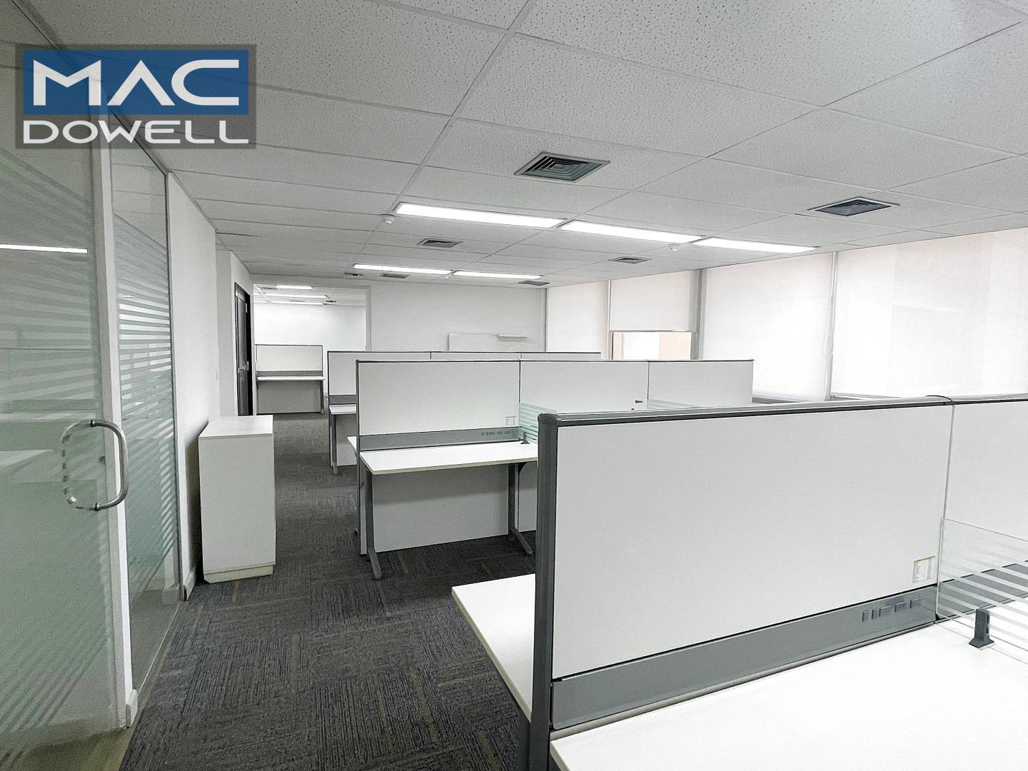 Sala-Conjunto, 229 m² - Foto 4